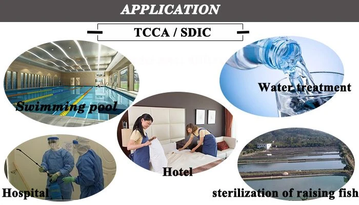 TCCA  Application